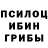 Галлюциногенные грибы Psilocybe Crack YT