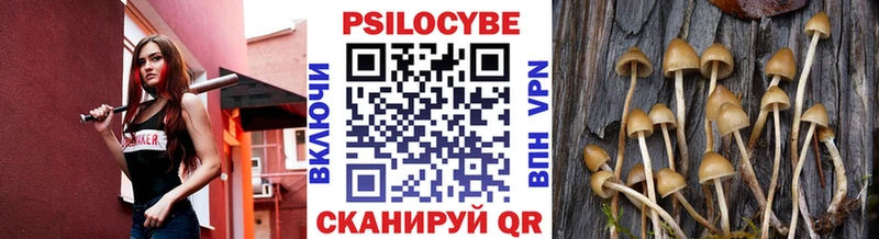 Псилоцибиновые грибы мицелий как найти закладки Красноярск